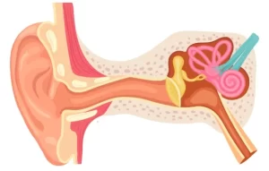 Chronic Otitis Media